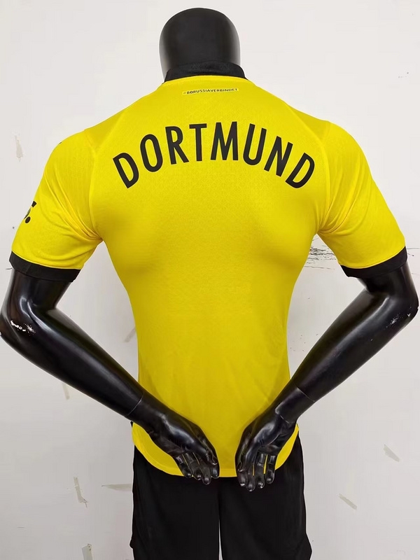 2324 Dortmund home